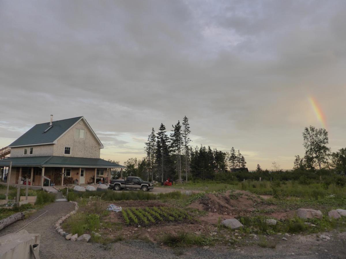 North Shore Retreat - Off-Grid - Oceanfront Indian Brook Exterior photo